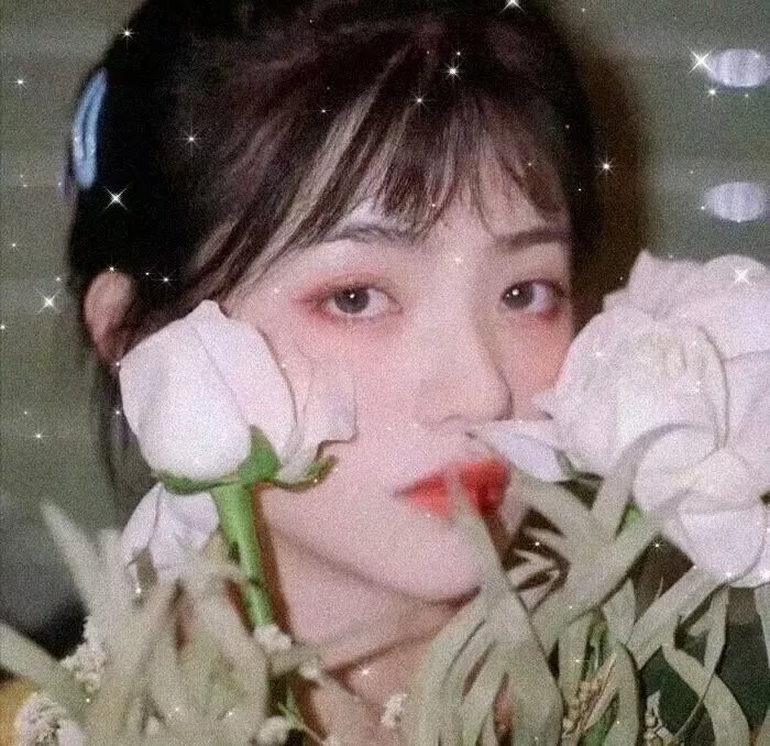 亲爱的生命